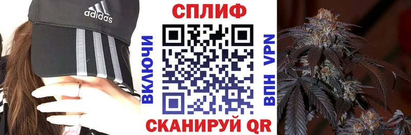 Конопля OG Kush Дудинка